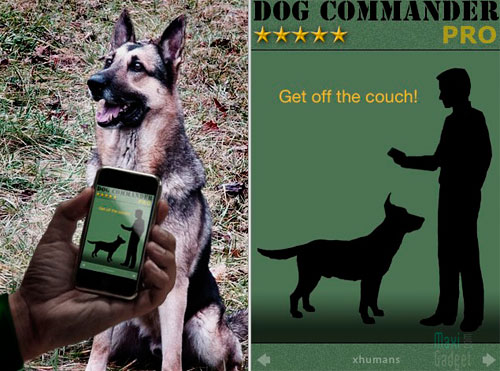 dog-commander-iphone