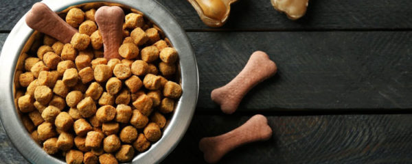 Croquettes chien
